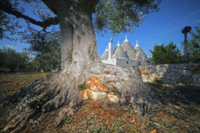 Trulli Foggia dell'Albero Polignano A Mare